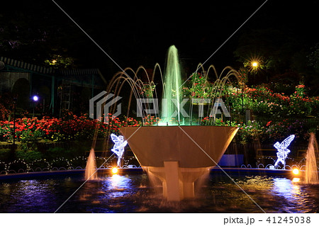 花巻温泉 バラ園のライトアップの写真素材