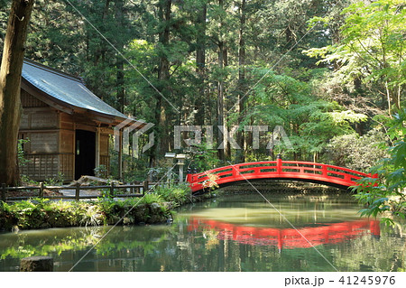 小国神社 41245976