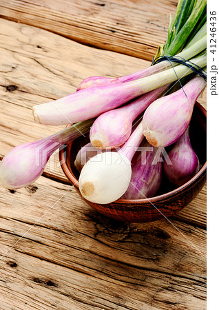 Fresh onion bulbs 41246436