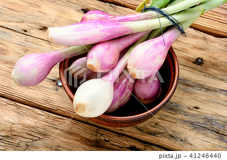 Fresh onion bulbs 41246440