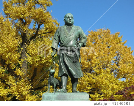 イチョウの黄葉に彩られた上野公園の西郷隆盛像 41246502