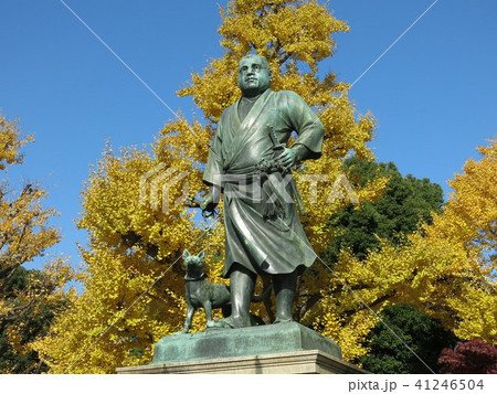 イチョウの黄葉に彩られた上野公園の西郷隆盛像 41246504