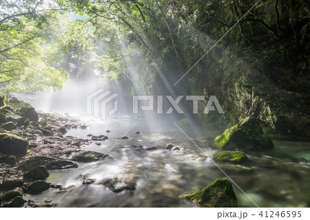 円原川の光芒 41246595