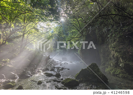 円原川の光芒 41246598