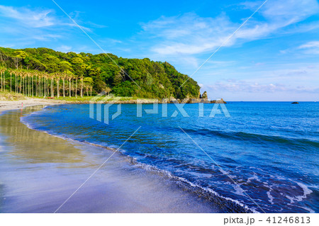 （静岡県）南伊豆　弓ヶ浜　海水浴場 41246813