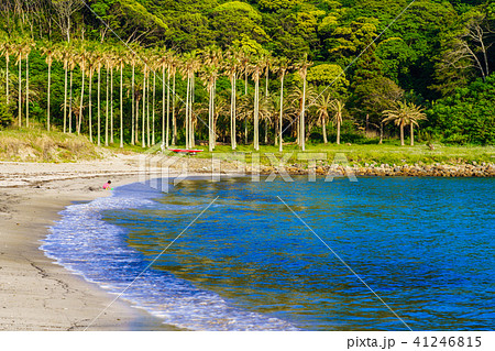 （静岡県）南伊豆　弓ヶ浜　海水浴場 41246815