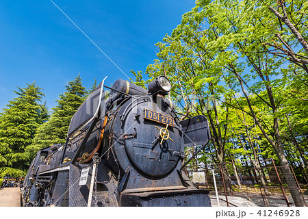 世田谷公園のD51蒸気機関車 世田谷公園のD51蒸気機関車 41246928