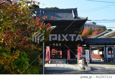 冬の泉岳寺 冬の泉岳寺 41247111