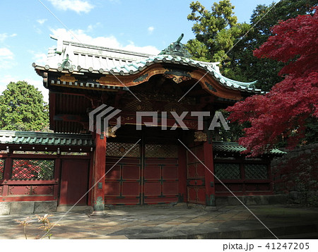 紅葉が彩りを添える秋の徳川綱吉霊廟勅額門 41247205