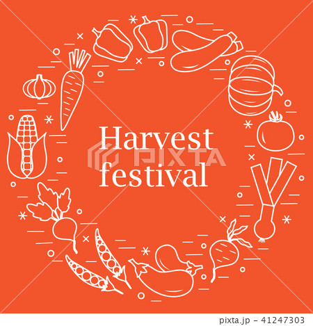 different autumn seasonal vegetables arranged in a different autumn seasonal vegetables arranged in a 41247303