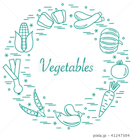 different autumn seasonal vegetables arranged in a different autumn seasonal vegetables arranged in a 41247304