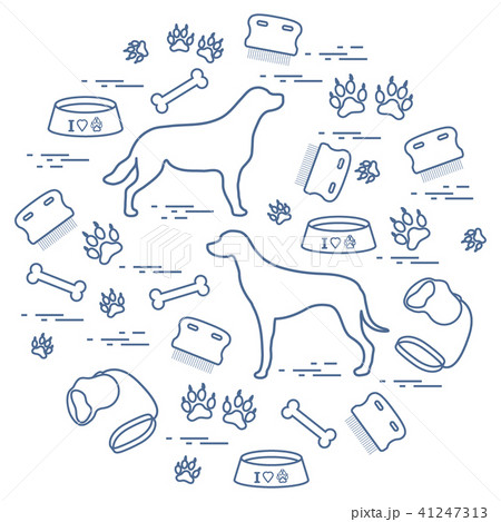 Cute vector illustration goods to care for dogs 41247313
