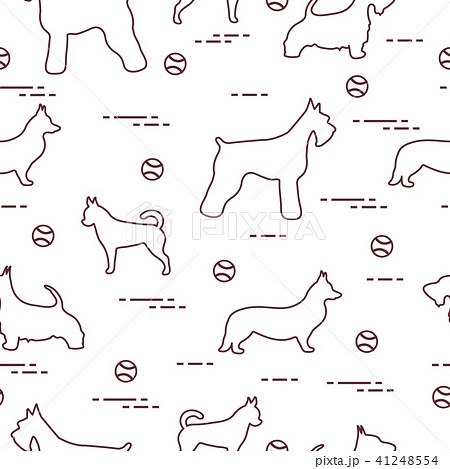 Seamless pattern with dogs and tennis balls 41248554