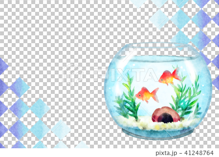 金魚鉢ハガキ 金魚鉢ハガキ 41248764