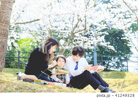 新入園 家族で花見 新入園 家族で花見 41249328