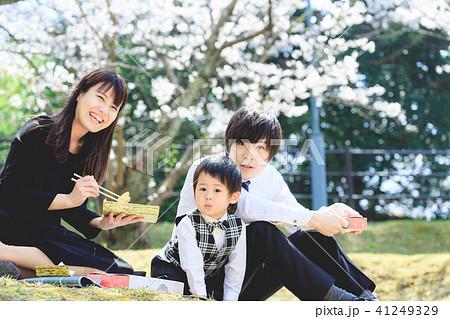 新入園 家族で花見 新入園 家族で花見 41249329