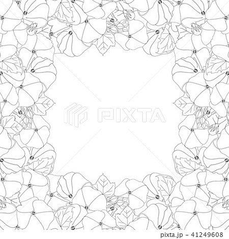 Alcea Rosea Outline Border - hollyhocks Alcea Rosea Outline Border - hollyhocks 41249608
