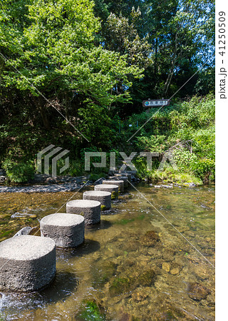 吾妻峡のドレミファ橋 吾妻峡のドレミファ橋 41250509