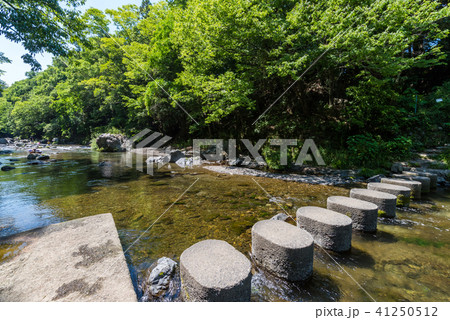 吾妻峡 入間川の流れとドレミファ橋 41250512