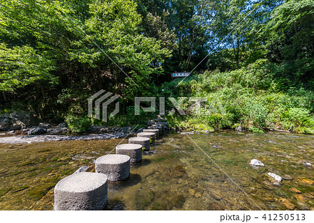 吾妻峡 入間川の流れとドレミファ橋 41250513