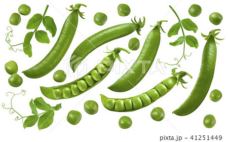 Green peas, pods and leaves set isolated Green peas, pods and leaves set isolated 41251449