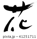 花 41251711