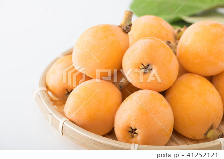 ビワ びわ 枇杷 41252121