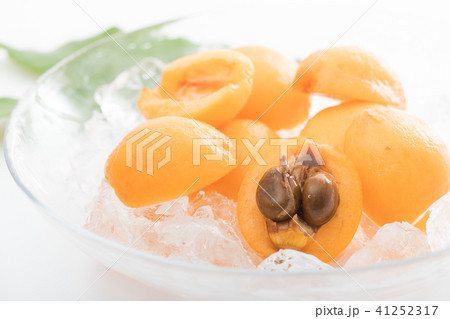 ビワ びわ 枇杷 41252317