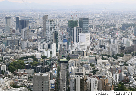 日本の東京都市景観　渋谷などの街並みを望む 41253472