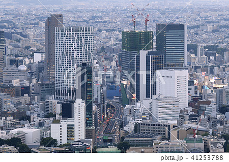 日本の東京都市景観 渋谷などの街並みを望む 日本の東京都市景観 渋谷などの街並みを望む 41253788
