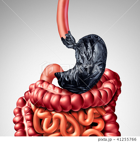 Human Digestion Problem 41255766