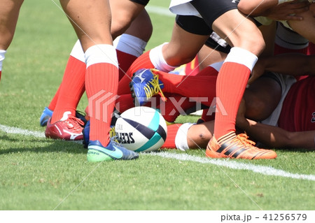 ラグビー 41256579
