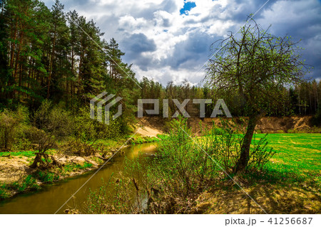 spring landscape by the river spring landscape by the river 41256687