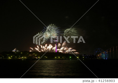 八景島シーパラダイス打上花火 八景島シーパラダイス打上花火 41256903