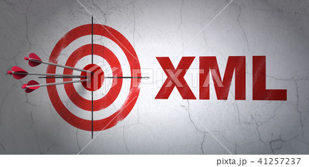 Software concept: target and Xml on wall background 41257237