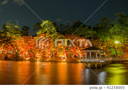 岡崎市東公園の紅葉 岡崎市東公園の紅葉 41258005