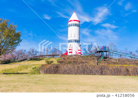 Beautiful cherry blossom , sakura in spring time Beautiful cherry blossom , sakura in spring time 41258056