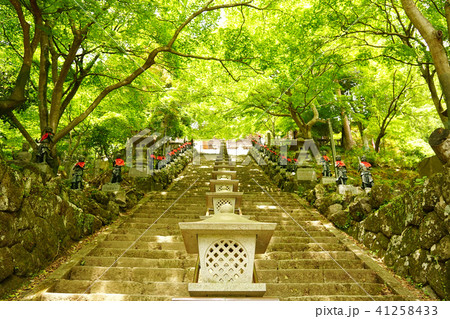 雨降山大山寺　新緑 41258433