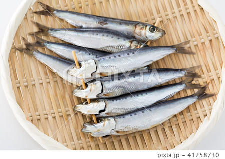 イワシの丸干し イワシの丸干し 41258730