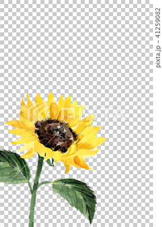 Hot summer postcards sunflower character none Hot summer postcards sunflower character none 41259082
