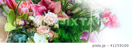 Flower peony decoration 41259100