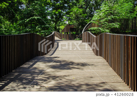 wonderful walkway in the park wonderful walkway in the park 41260028