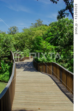 wonderful walkway in the park 41260029