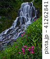 Forest waterfalls of the Columbia River Gorge 41262841