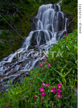 Forest waterfalls of the Columbia River Gorge Forest waterfalls of the Columbia River Gorge 41262841