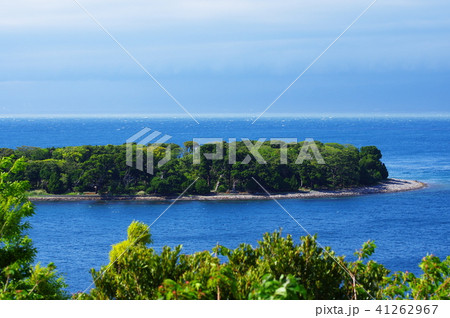 伊豆の大瀬神社 伊豆の大瀬神社 41262967