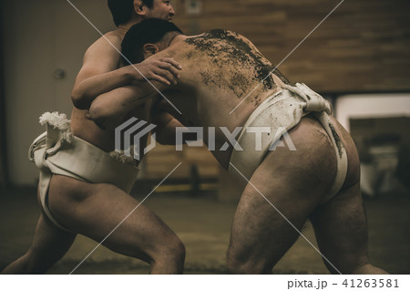 Sumo wrestling Sumo wrestling 41263581