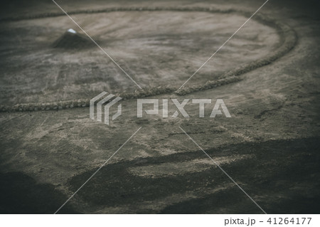 Sumo wrestling 41264177