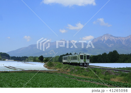 小海線と高原レタス畑 41265098