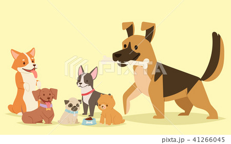 Puppy cute playing dogs characters funny purebred comic happy mammal doggy breed vector illustration Puppy cute playing dogs characters funny purebred comic happy mammal doggy breed vector illustration 41266045